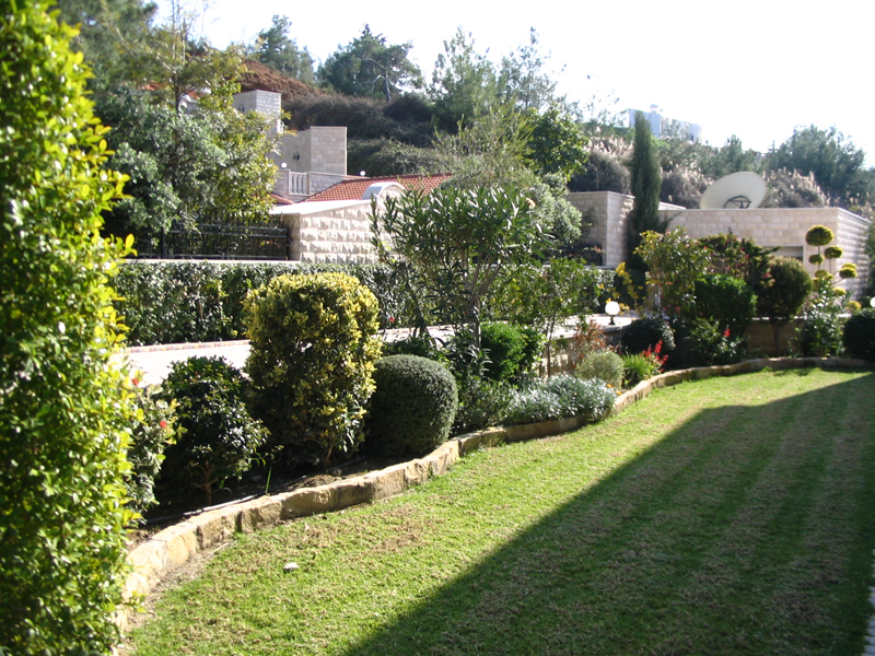 Green Forest - Cyprus' leading landscaping company - project 030 16 1