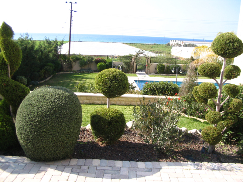 Green Forest - Cyprus' leading landscaping company - project 030 17 2