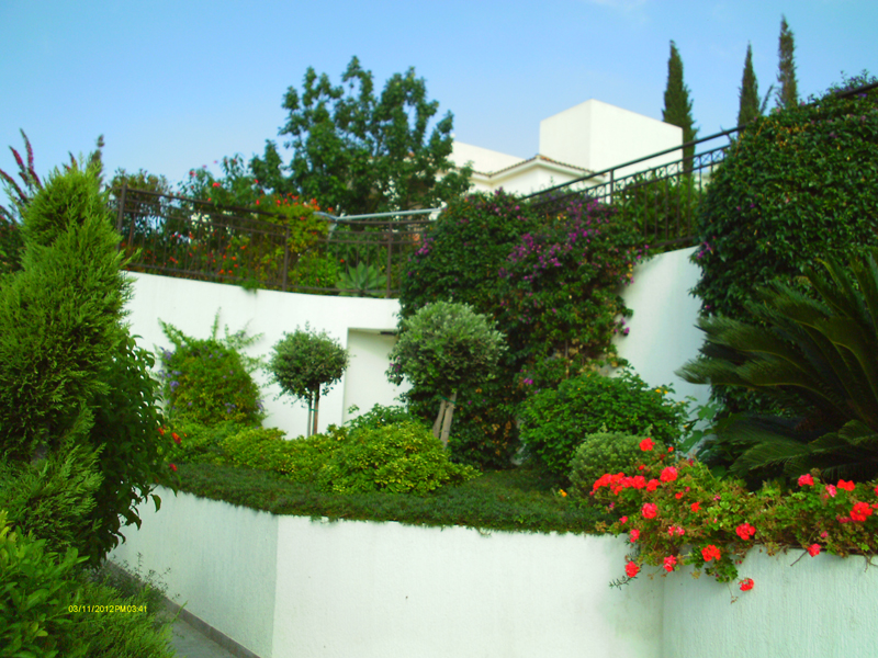 Green Forest - Cyprus' leading landscaping company - project 030 2 2