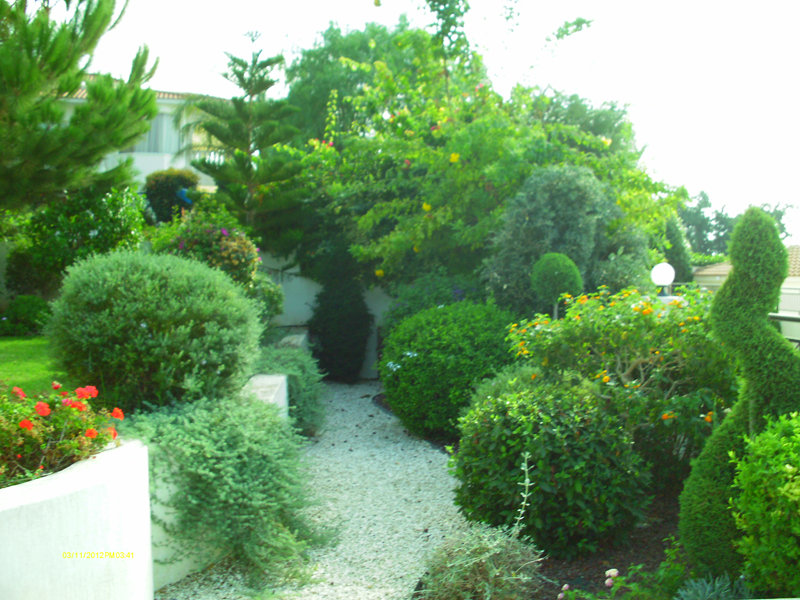 Green Forest - Cyprus' leading landscaping company - project 030 3 1
