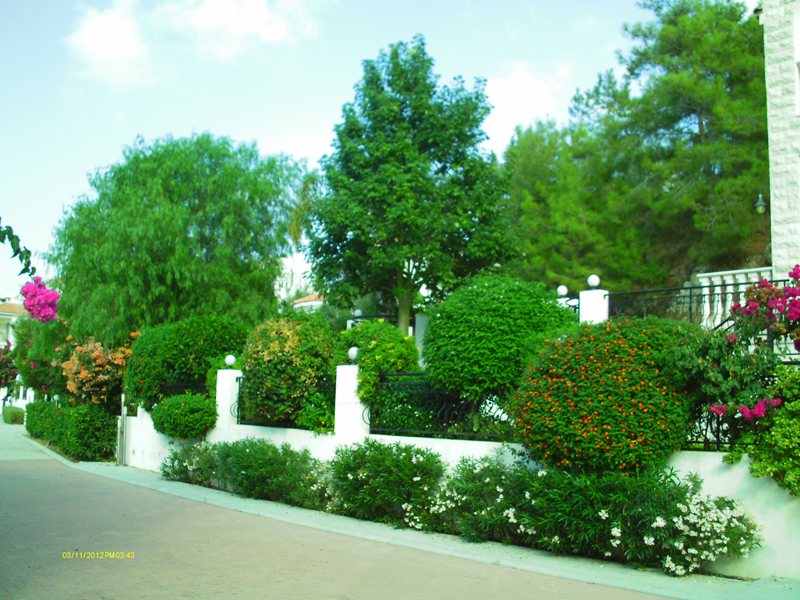 Green Forest - Cyprus' leading landscaping company - project 030 4 2