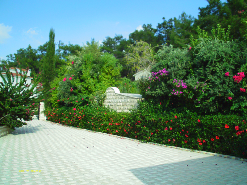 Green Forest - Cyprus' leading landscaping company - project 030 6 2