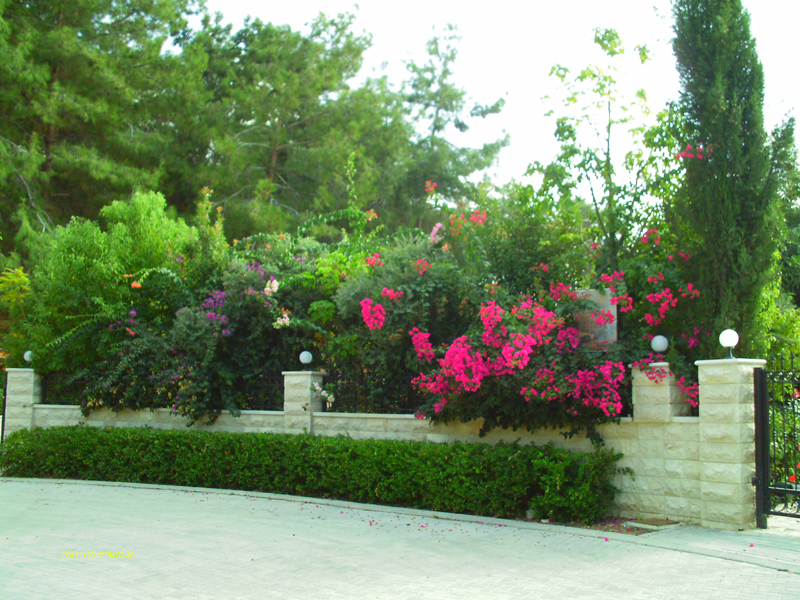 Green Forest - Cyprus' leading landscaping company - project 030 7 1
