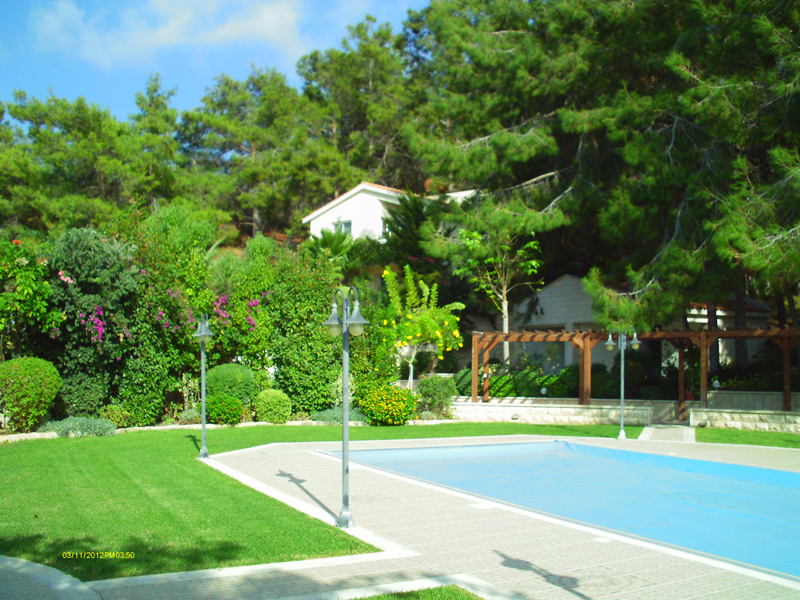 Green Forest - Cyprus' leading landscaping company - project 030 9