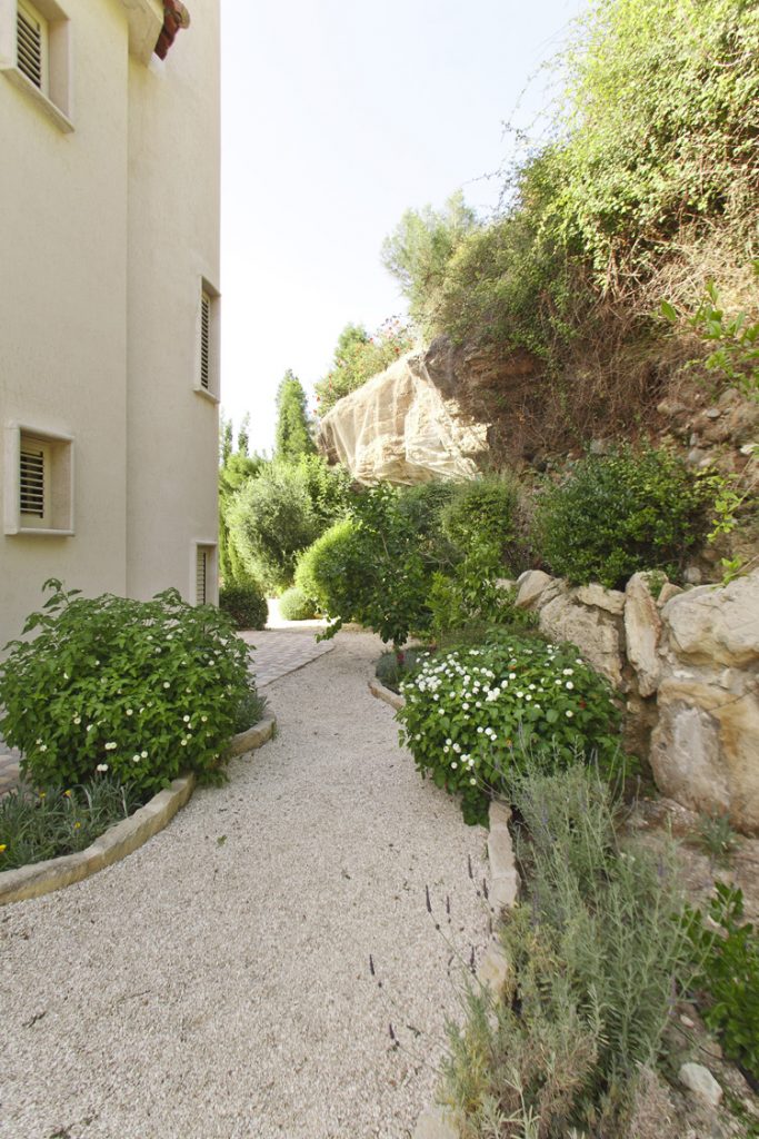 Green Forest - Cyprus' leading landscaping company - project 031 10 2