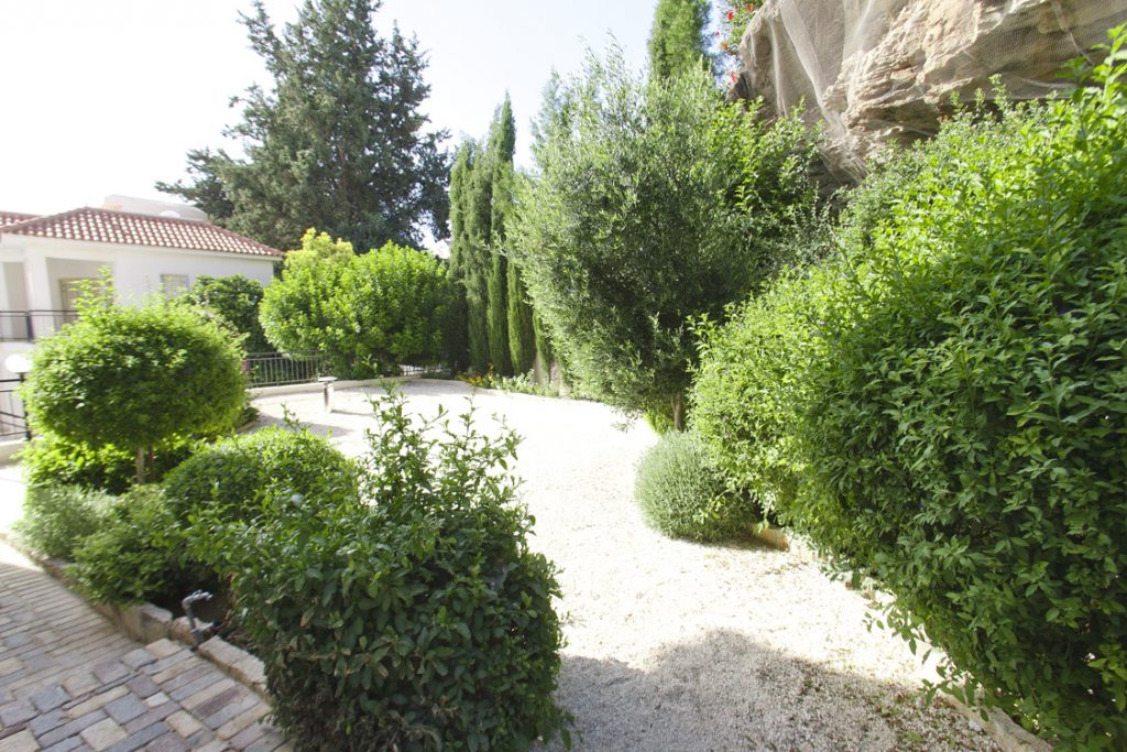Green Forest - Cyprus' leading landscaping company - project 031 11