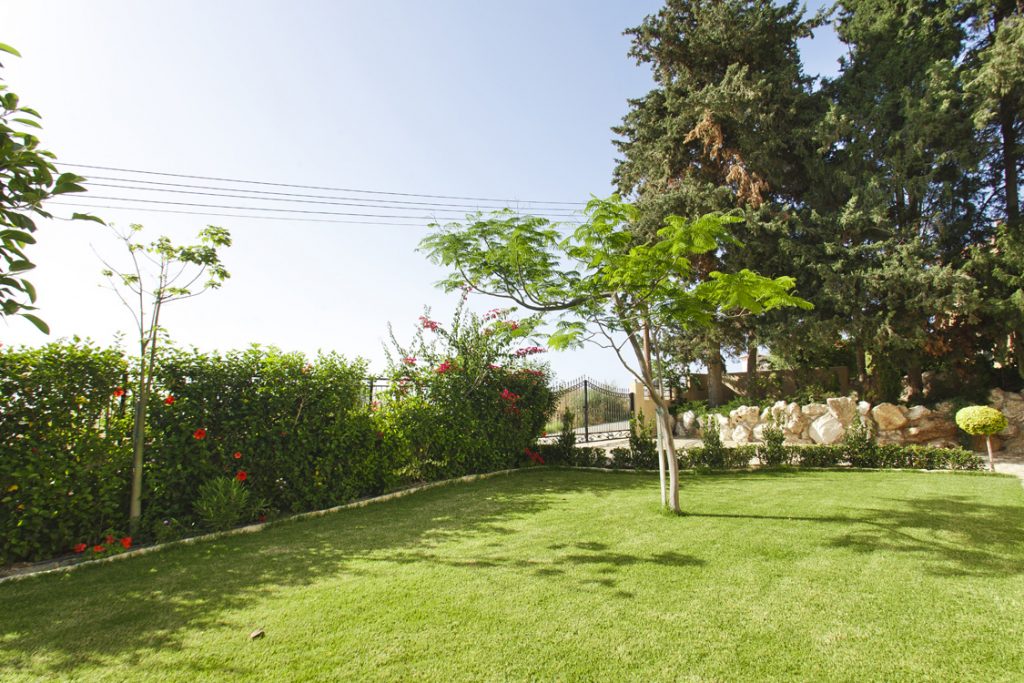 Green Forest - Cyprus' leading landscaping company - project 031 24 2
