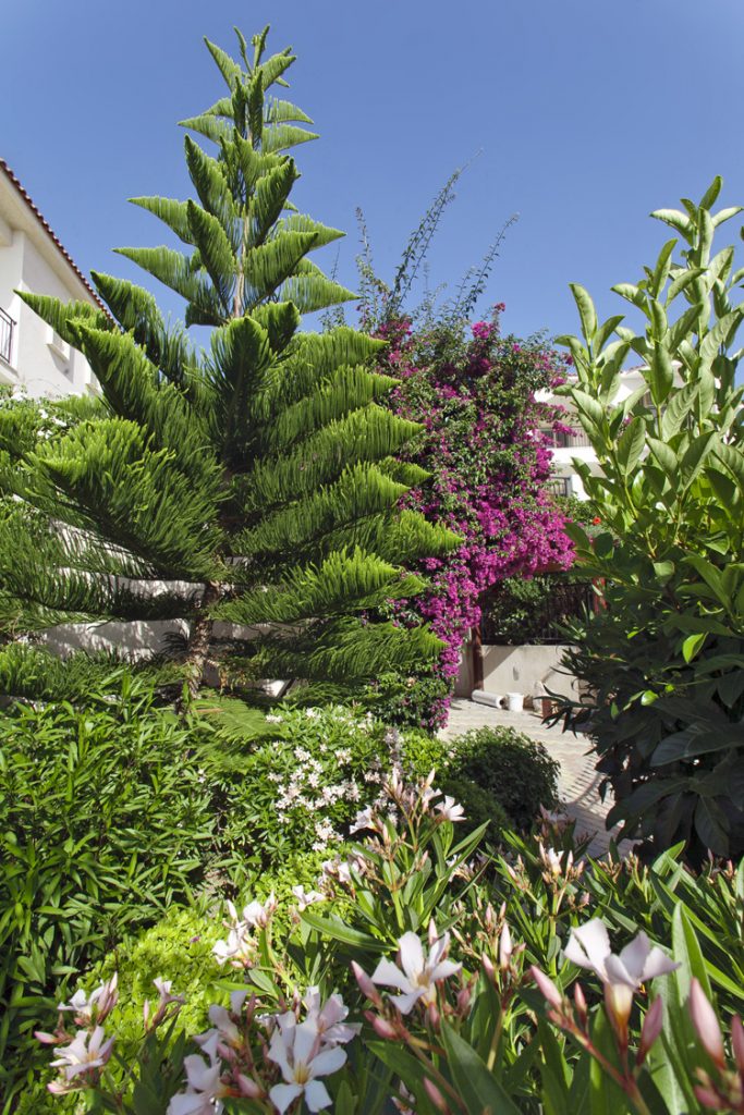 Green Forest - Cyprus' leading landscaping company - project 031 3 1