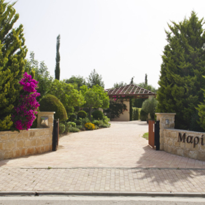 Green Forest - Cyprus' leading landscaping company - project 032 1