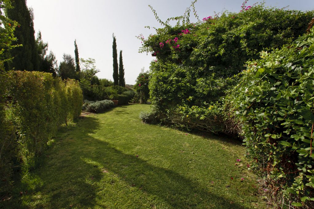 Green Forest - Cyprus' leading landscaping company - project 032 10 3