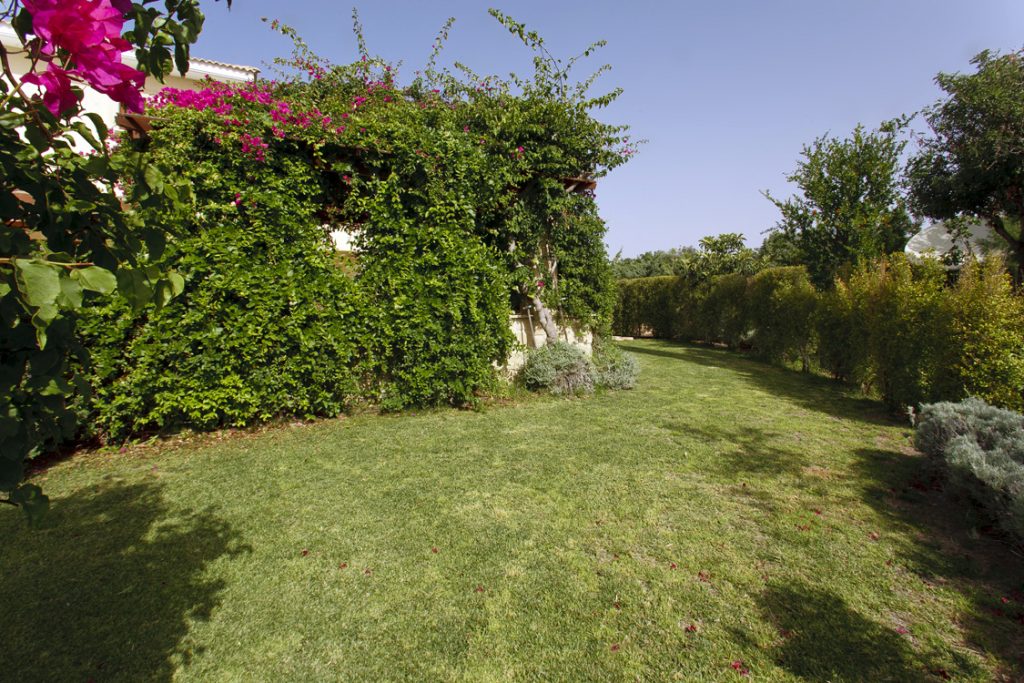 Green Forest - Cyprus' leading landscaping company - project 032 11 2
