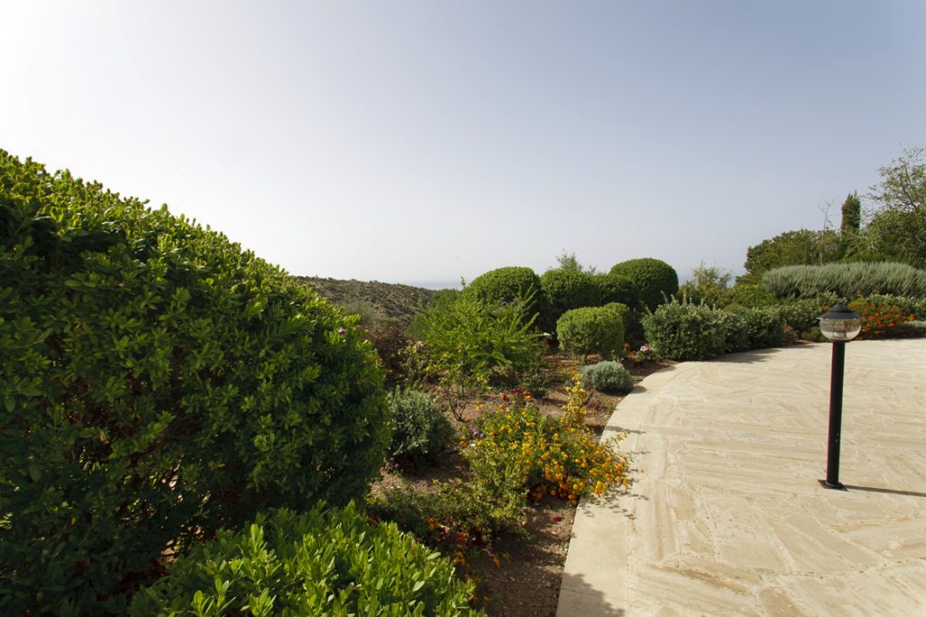 Green Forest - Cyprus' leading landscaping company - project 032 15 3