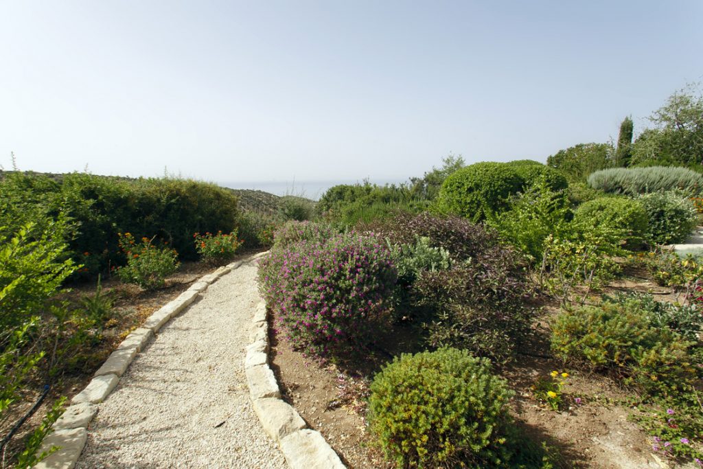 Green Forest - Cyprus' leading landscaping company - project 032 17 3