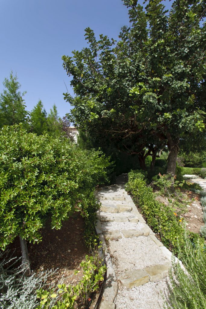Green Forest - Cyprus' leading landscaping company - project 032 23 3