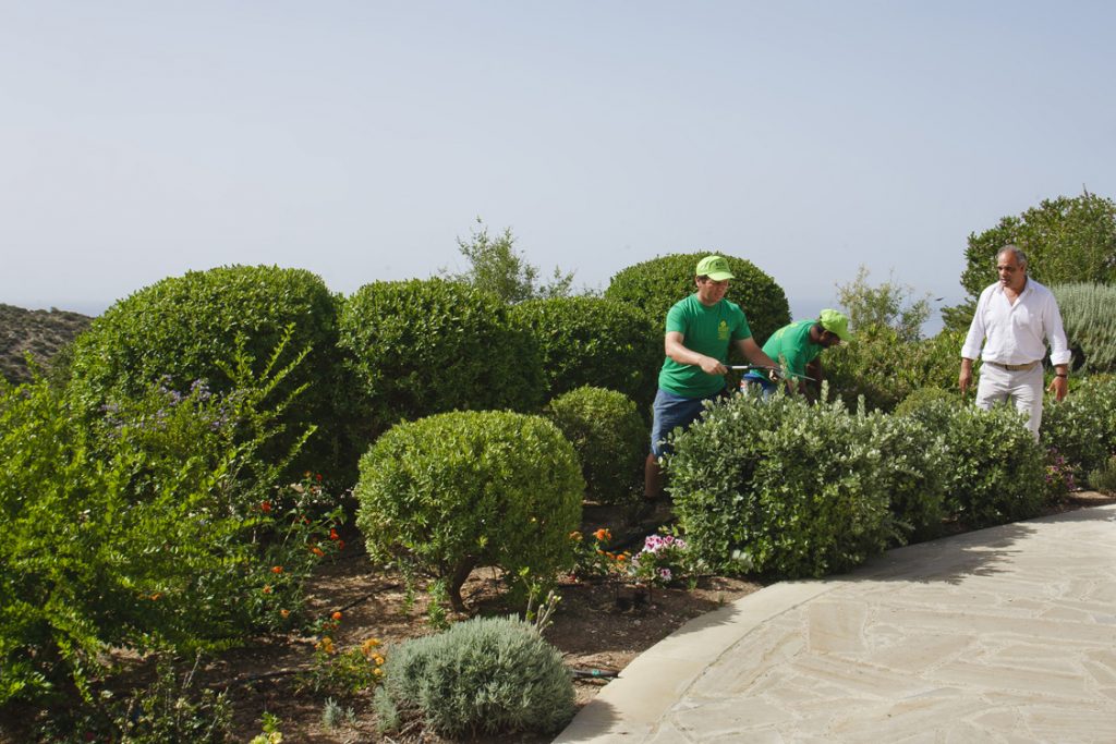 Green Forest - Cyprus' leading landscaping company - project 032 24 2