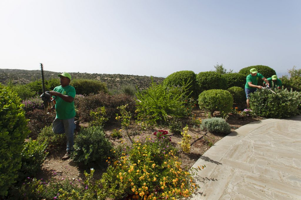 Green Forest - Cyprus' leading landscaping company - project 032 25 3