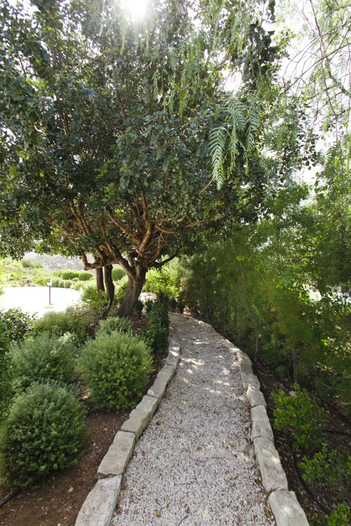 Green Forest - Cyprus' leading landscaping company - project 032 32 2