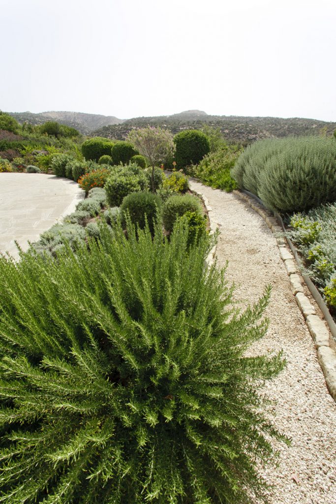 Green Forest - Cyprus' leading landscaping company - project 032 34 3
