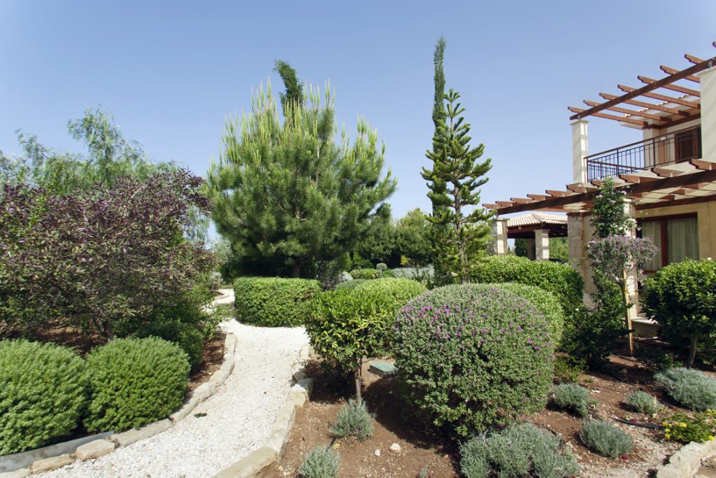 Green Forest - Cyprus' leading landscaping company - project 032 36 3