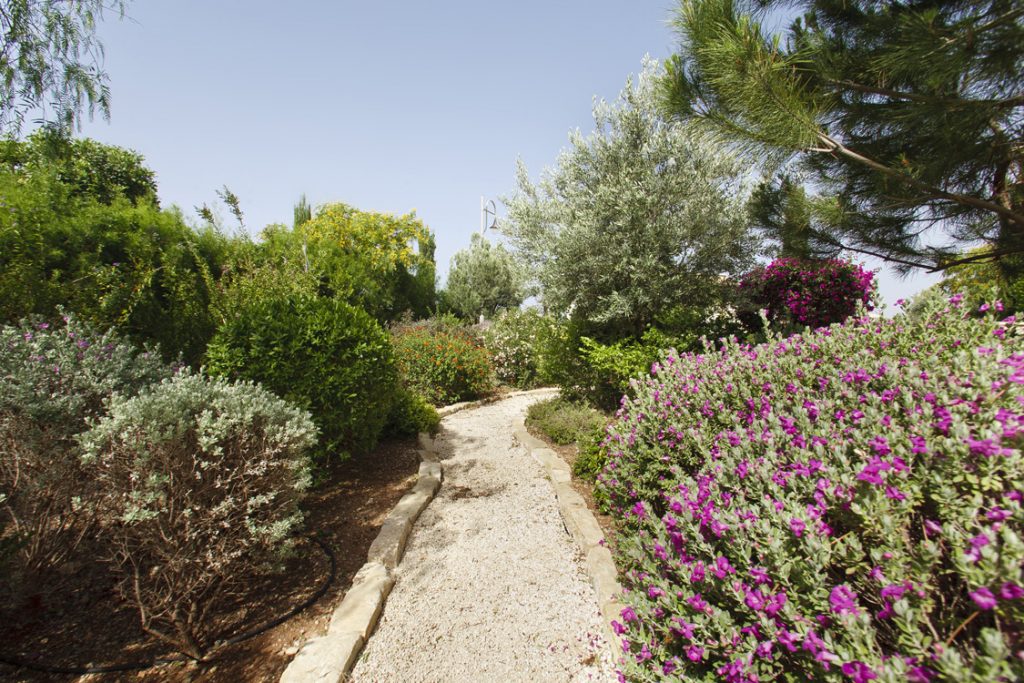 Green Forest - Cyprus' leading landscaping company - project 032 37 2