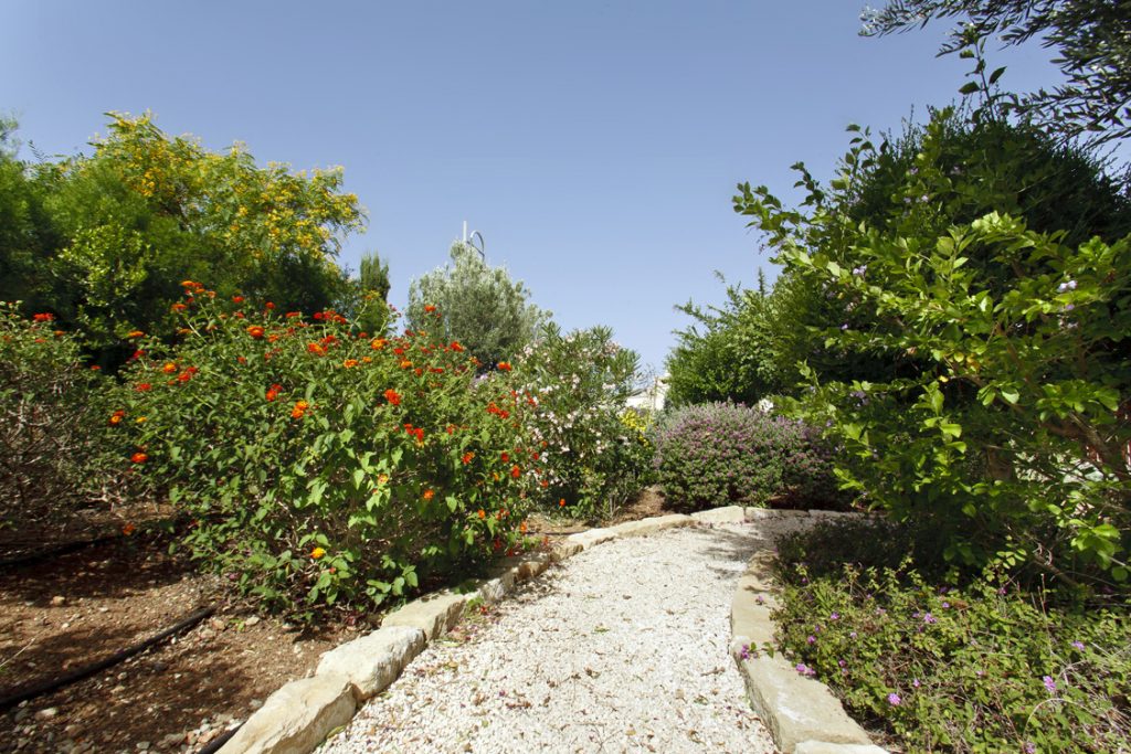 Green Forest - Cyprus' leading landscaping company - project 032 38 3