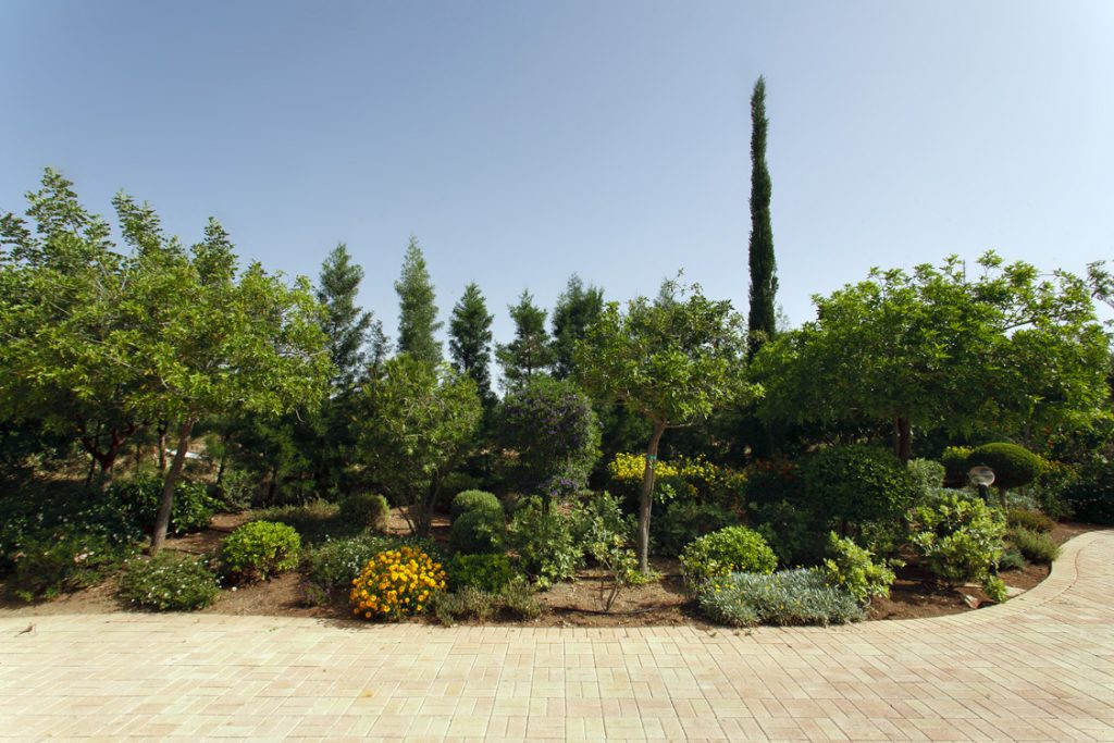 Green Forest - Cyprus' leading landscaping company - project 032 4 3