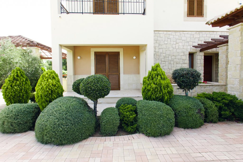Green Forest - Cyprus' leading landscaping company - project 032 5 3