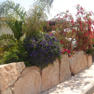 Green Forest - Cyprus' leading landscaping company - project 033 1