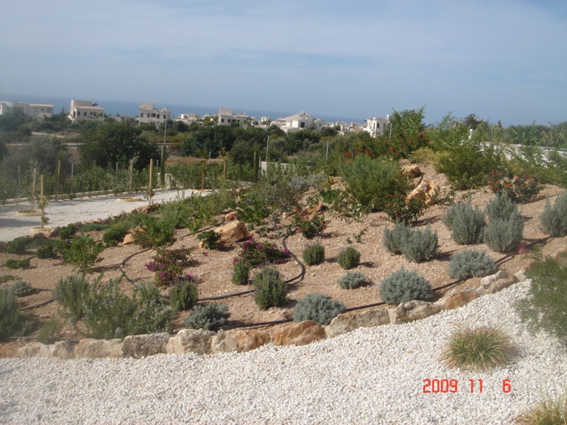 Green Forest - Cyprus' leading landscaping company - project 035 11 3