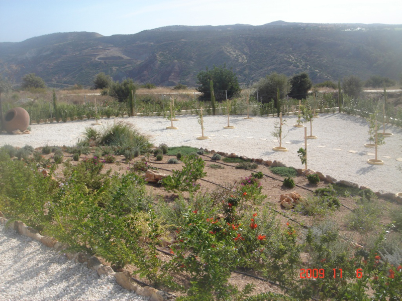 Green Forest - Cyprus' leading landscaping company - project 035 13 2