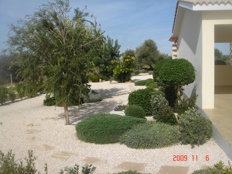 Green Forest - Cyprus' leading landscaping company - project 035 18 2