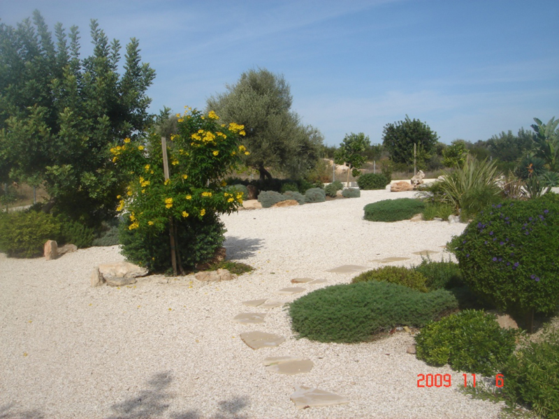 Green Forest - Cyprus' leading landscaping company - project 035 22 3