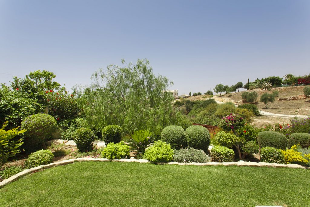 Green Forest - Cyprus' leading landscaping company - project 036 10 2
