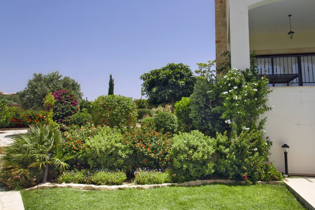 Green Forest - Cyprus' leading landscaping company - project 036 13 3