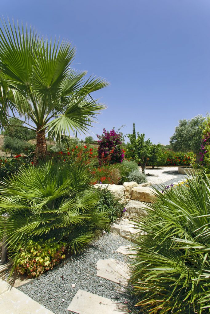 Green Forest - Cyprus' leading landscaping company - project 036 14 3