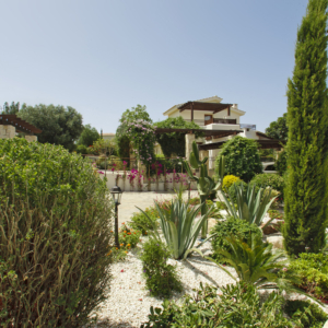 Green Forest - Cyprus' leading landscaping company - project 037 1