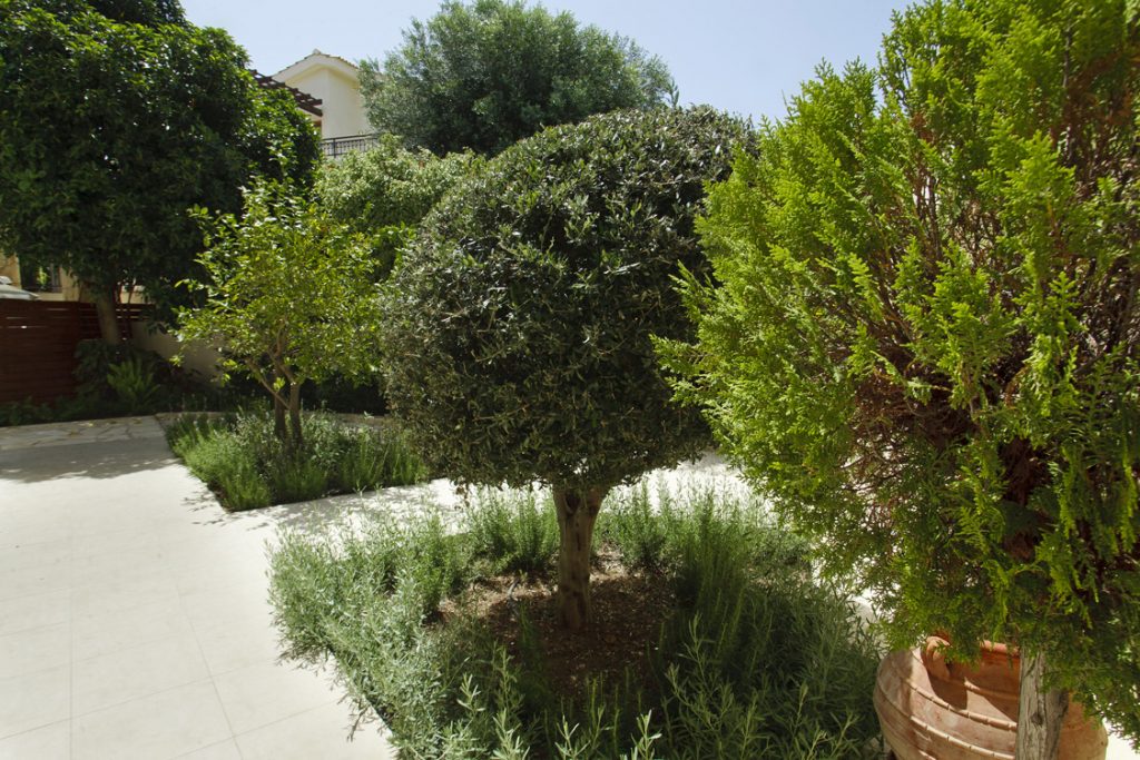 Green Forest - Cyprus' leading landscaping company - project 037 11 3