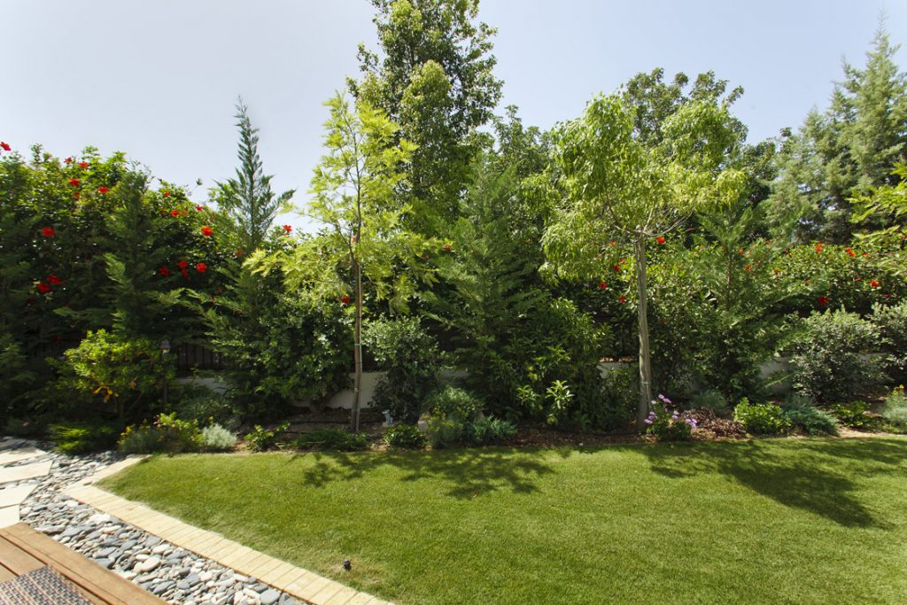 Green Forest - Cyprus' leading landscaping company - project 037 18 2