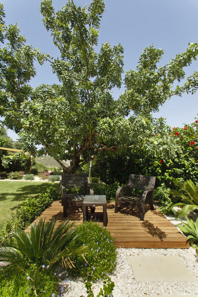 Green Forest - Cyprus' leading landscaping company - project 037 28 3