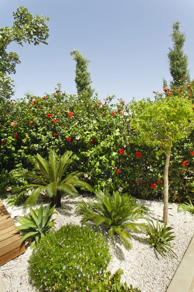 Green Forest - Cyprus' leading landscaping company - project 037 29 2