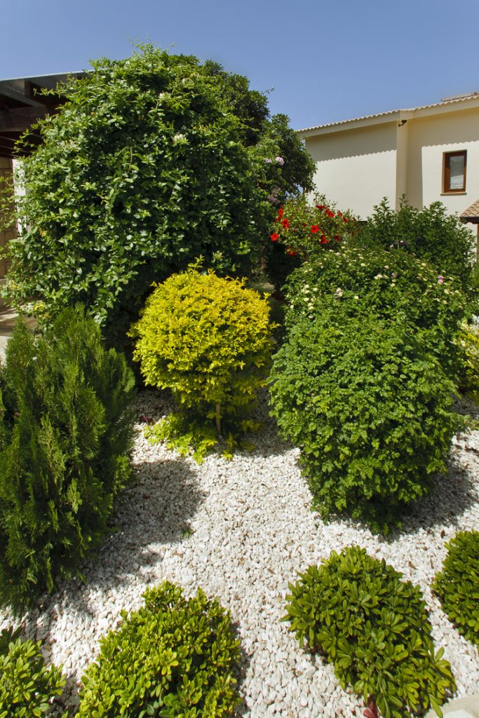 Green Forest - Cyprus' leading landscaping company - project 037 6 2