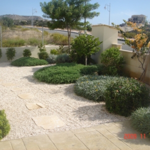 Green Forest - Cyprus' leading landscaping company - project 039 1