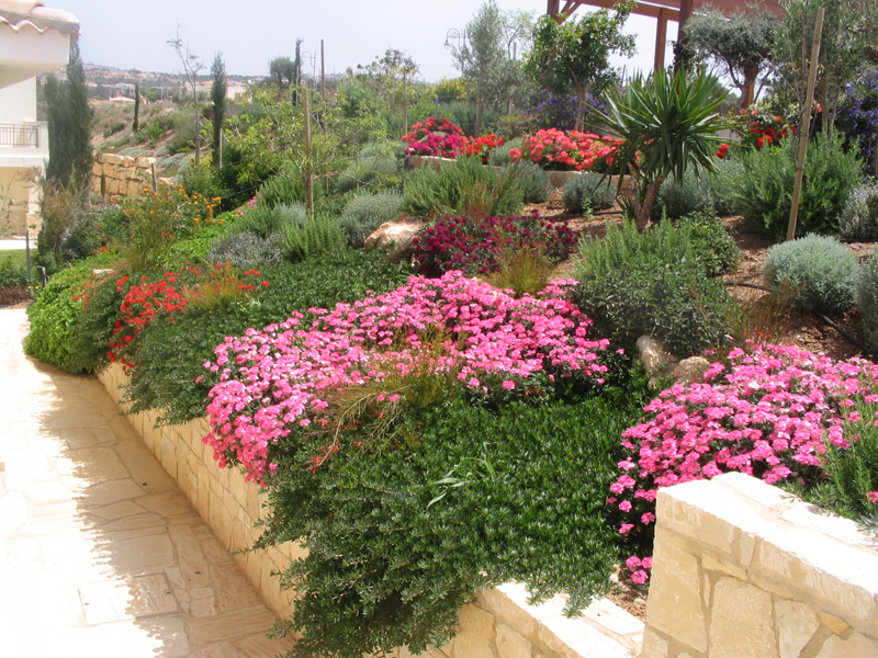 Green Forest - Cyprus' leading landscaping company - project 040 1 2