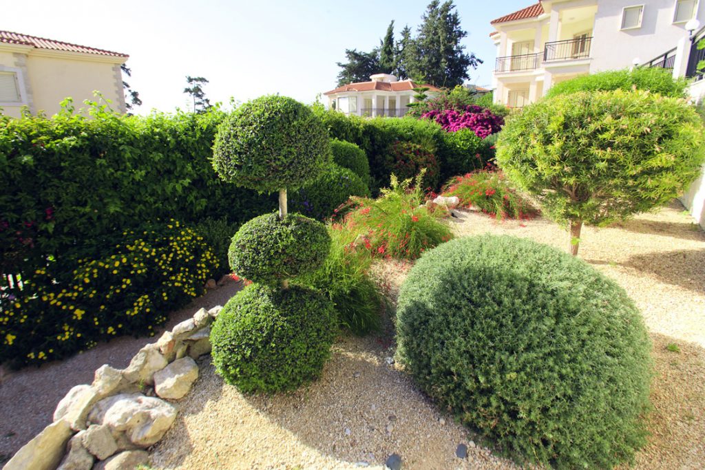 Green Forest - Cyprus' leading landscaping company - project 041 10 1