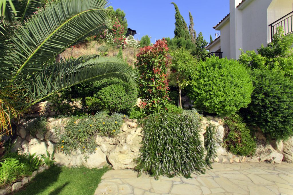Green Forest - Cyprus' leading landscaping company - project 041 18 2
