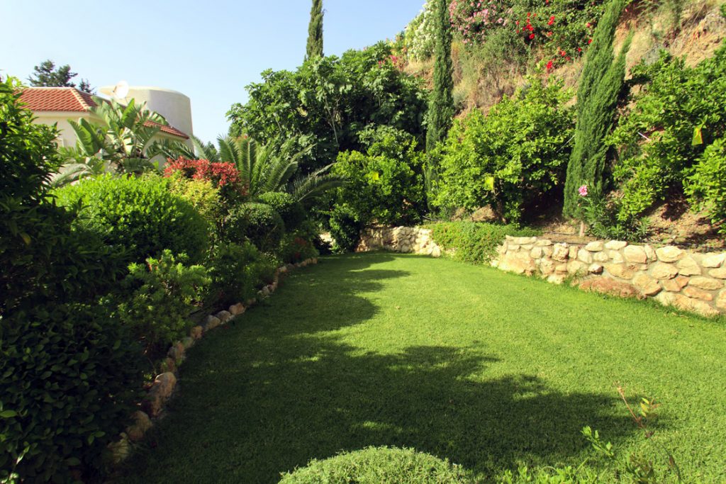 Green Forest - Cyprus' leading landscaping company - project 041 19 2