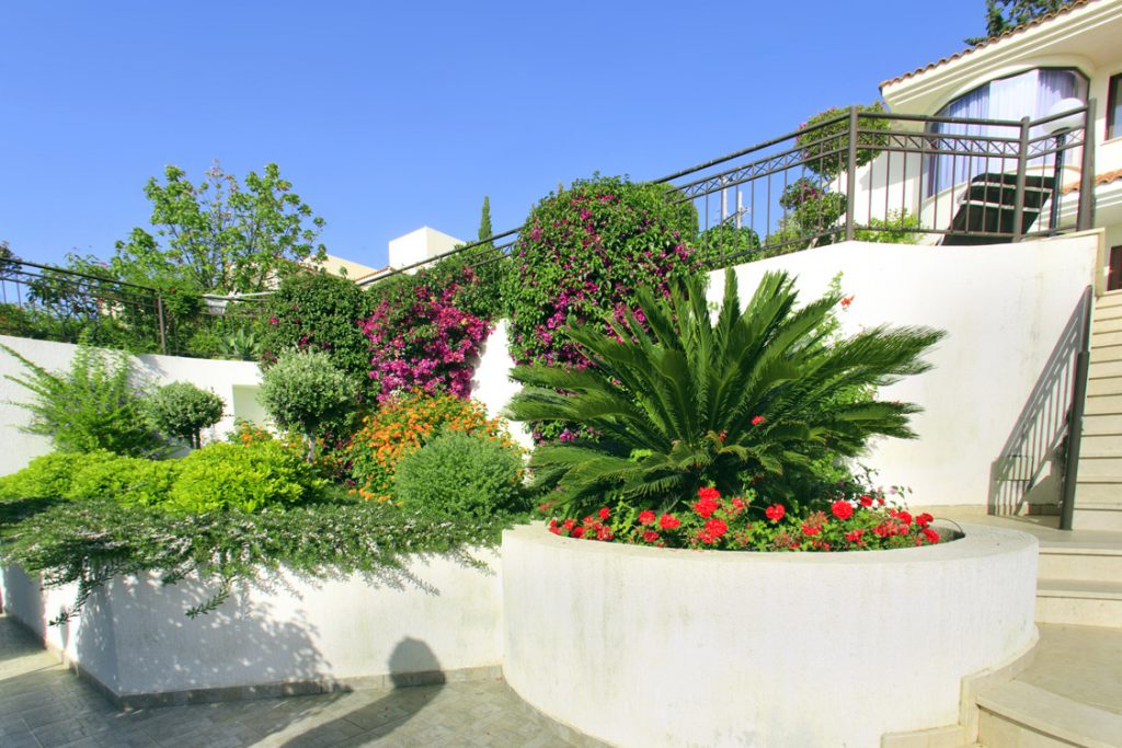 Green Forest - Cyprus' leading landscaping company - project 041 21 1