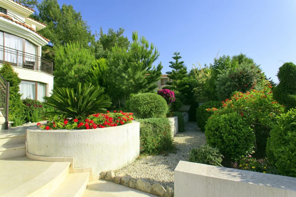 Green Forest - Cyprus' leading landscaping company - project 041 22
