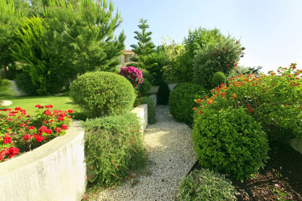 Green Forest - Cyprus' leading landscaping company - project 041 25