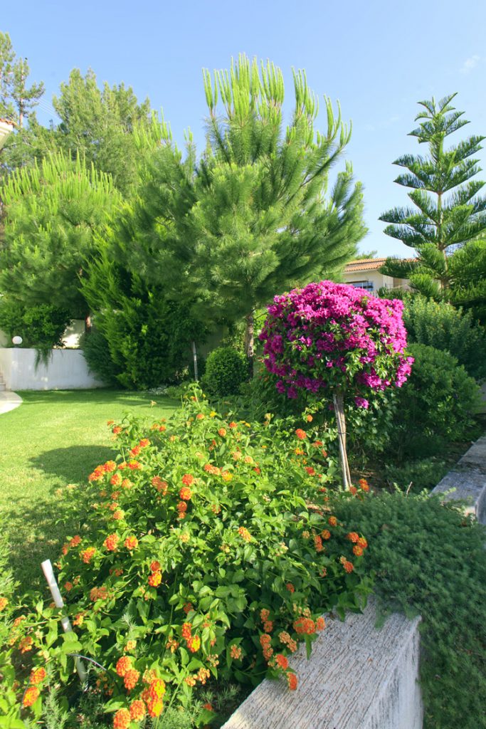 Green Forest - Cyprus' leading landscaping company - project 041 27 2